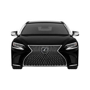 exclusive mockups for branding and packaging design